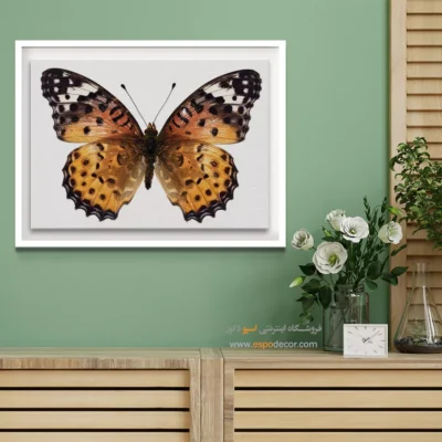 تابلو پروانه - اسپو دکور