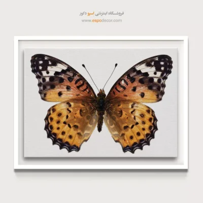 تابلو پروانه - اسپو دکور