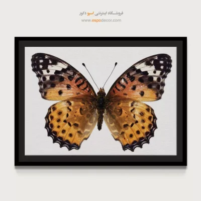 تابلو پروانه - اسپو دکور