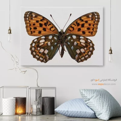 تابلو پروانه - اسپو دکور