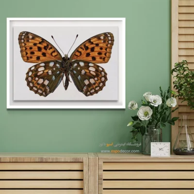 تابلو پروانه - اسپو دکور