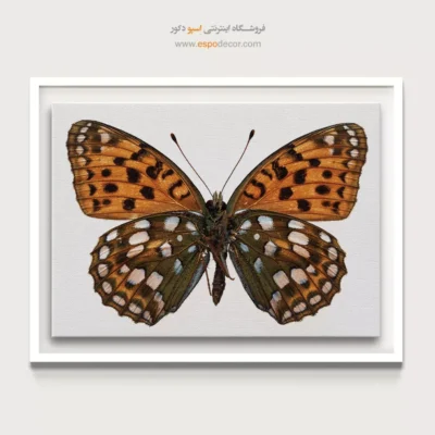 تابلو پروانه - اسپو دکور