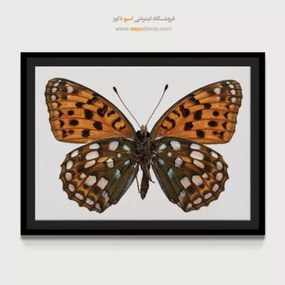 تابلو پروانه - اسپو دکور