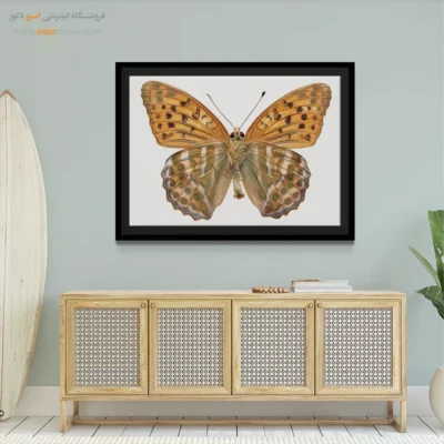 تابلو پروانه - اسپو دکور