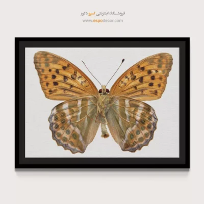 تابلو پروانه - اسپو دکور