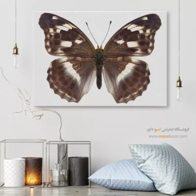 تابلو پروانه - اسپو دکور