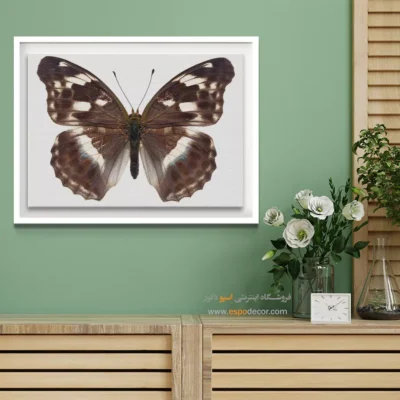 تابلو پروانه - اسپو دکور