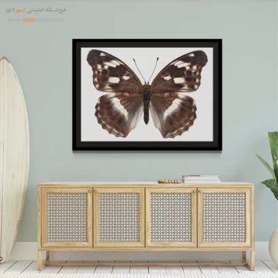 تابلو پروانه - اسپو دکور