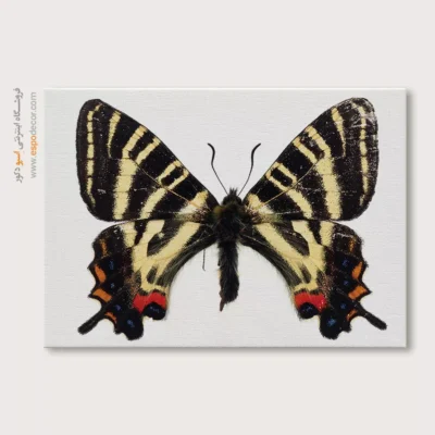 تابلو پروانه - اسپو دکور