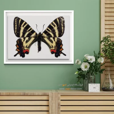 تابلو پروانه - اسپو دکور