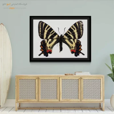 تابلو پروانه - اسپو دکور