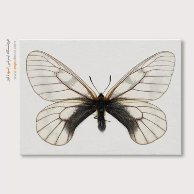 تابلو پروانه - اسپو دکور