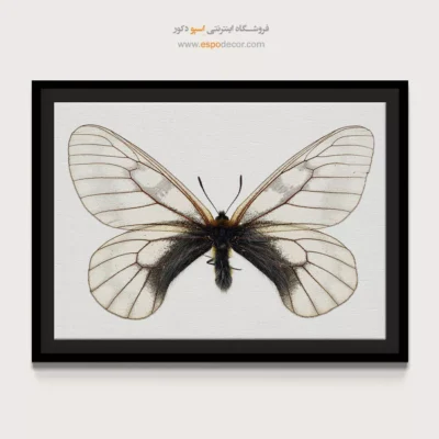 تابلو پروانه - اسپو دکور