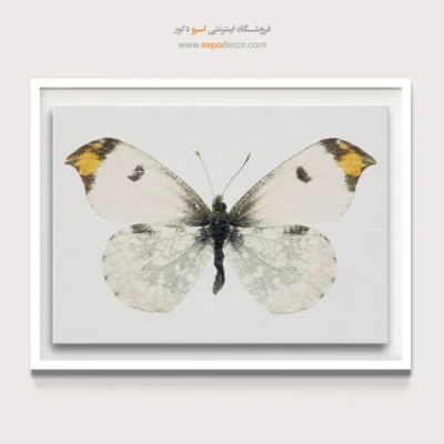 تابلو پروانه - اسپو دکور