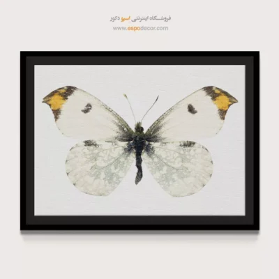 تابلو پروانه - اسپو دکور