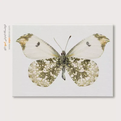 تابلو پروانه - اسپو دکور