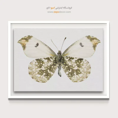 تابلو پروانه - اسپو دکور