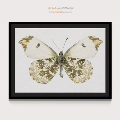 تابلو پروانه - اسپو دکور