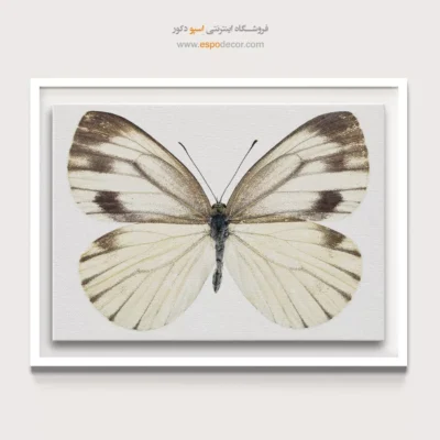 تابلو پروانه - اسپو دکور