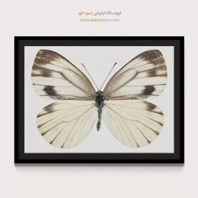 تابلو پروانه - اسپو دکور