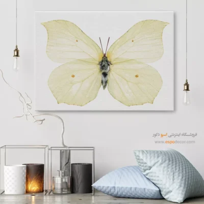 تابلو پروانه - اسپو دکور