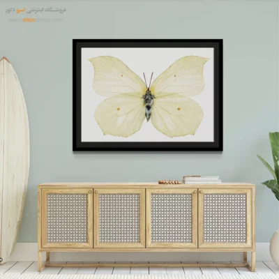 تابلو پروانه - اسپو دکور