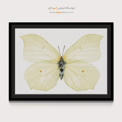 تابلو پروانه - اسپو دکور