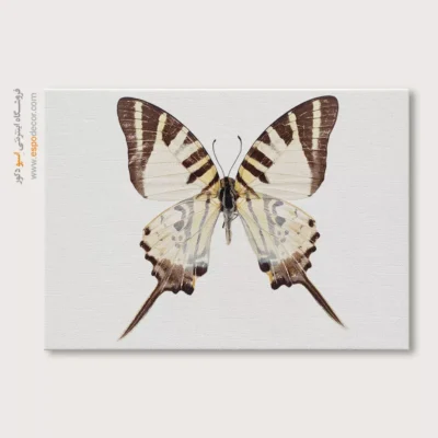 تابلو پروانه - اسپو دکور
