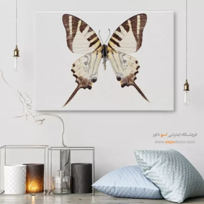 تابلو پروانه - اسپو دکور