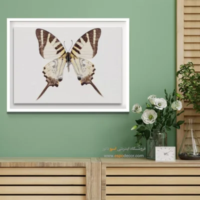 تابلو پروانه - اسپو دکور