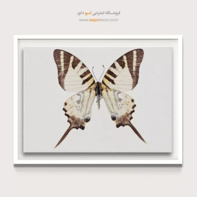 تابلو پروانه - اسپو دکور