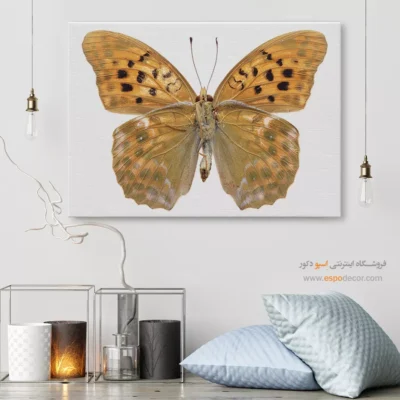 تابلو پروانه - اسپو دکور