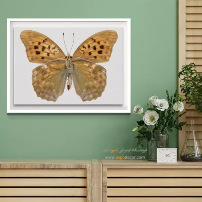 تابلو پروانه - اسپو دکور
