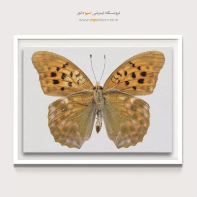 تابلو پروانه - اسپو دکور