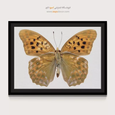 تابلو پروانه - اسپو دکور