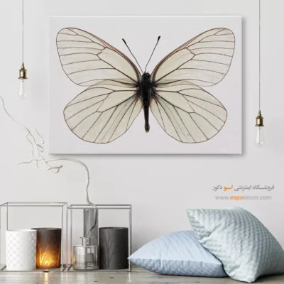 تابلو پروانه - اسپو دکور