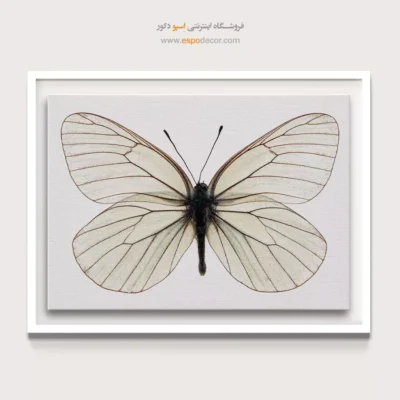 تابلو پروانه - اسپو دکور