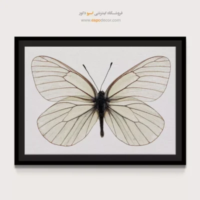 تابلو پروانه - اسپو دکور