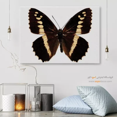 تابلو پروانه - اسپو دکور