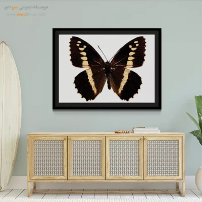 تابلو پروانه - اسپو دکور