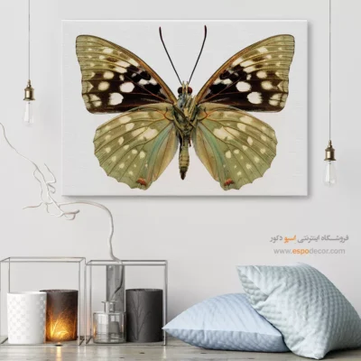 تابلو پروانه - اسپو دکور