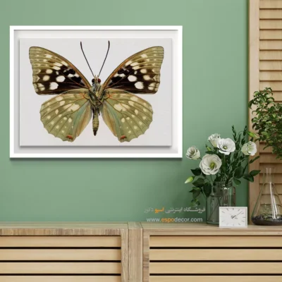 تابلو پروانه - اسپو دکور