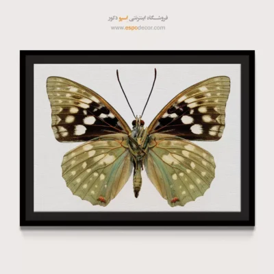 تابلو پروانه - اسپو دکور