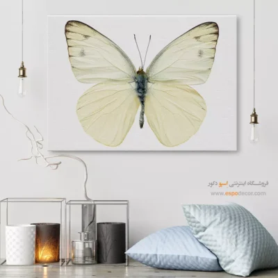 تابلو پروانه - اسپو دکور