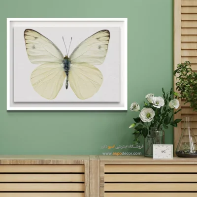 تابلو پروانه - اسپو دکور