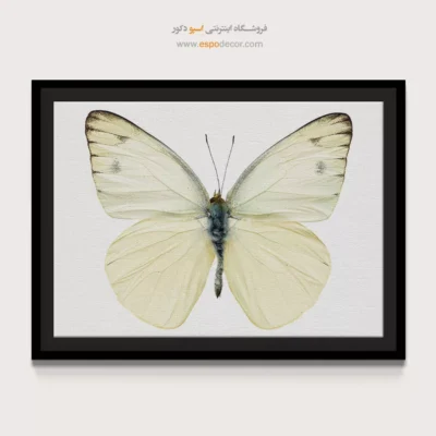 تابلو پروانه - اسپو دکور
