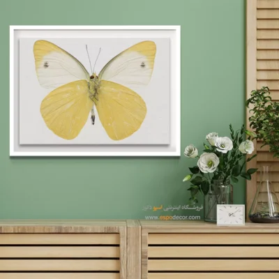 تابلو پروانه - اسپو دکور