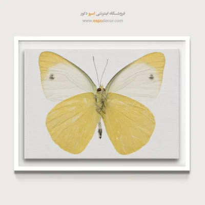 تابلو پروانه - اسپو دکور