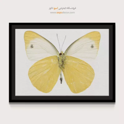 تابلو پروانه - اسپو دکور