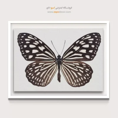 تابلو پروانه - اسپو دکور